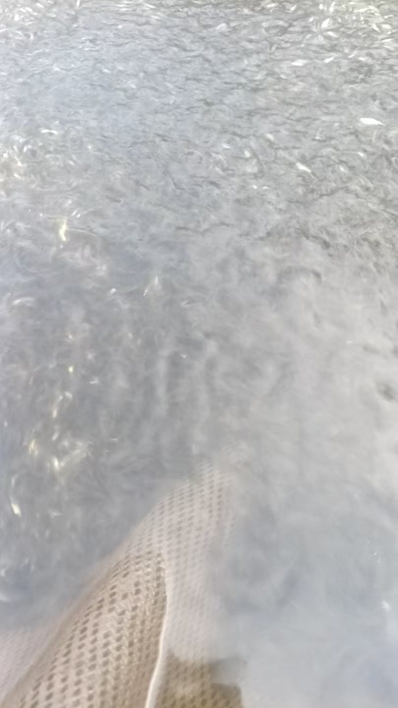 优质草鱼苗，规格齐全，价格可谈