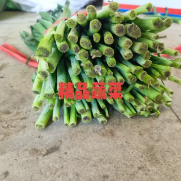 韭菜