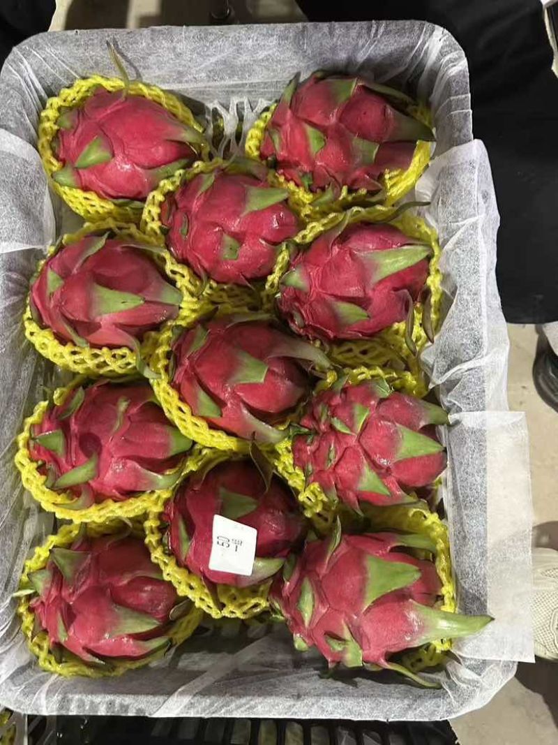 红心火龙果，种植户直销，价格优惠，各种规格都有