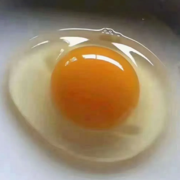 给孩子：成长能量站，一颗补活力​给老人：软嫩好消化，营养
