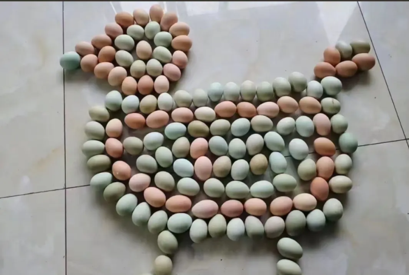 给孩子：成长能量站，一颗补活力​给老人：软嫩好消化，营养