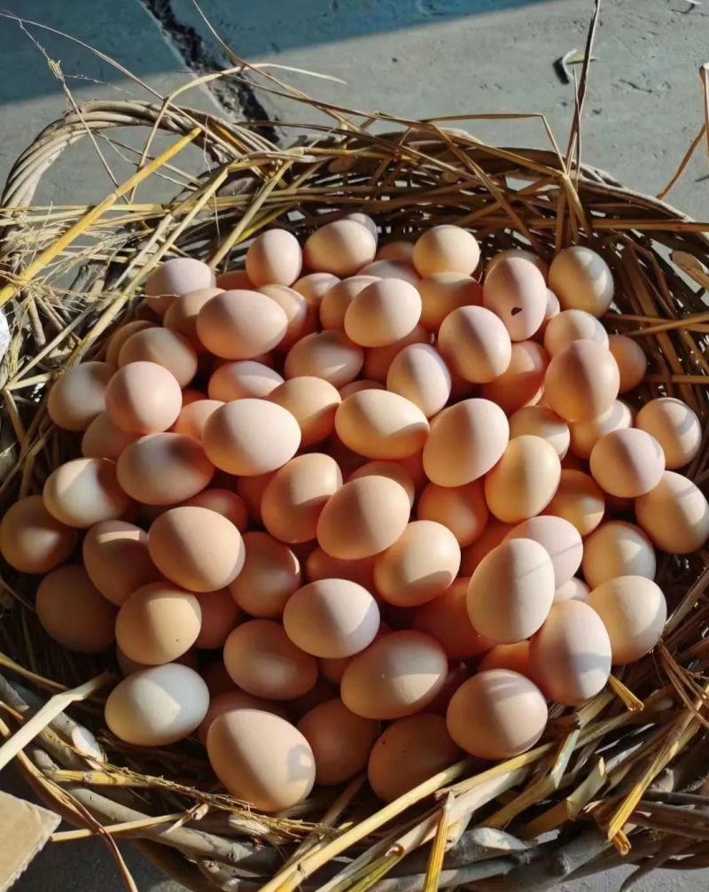 给孩子：成长能量站，一颗补活力​给老人：软嫩好消化，营养
