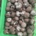 平泉香菇湖北十号品种花菇鲜香菇园区直采