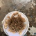 出售东风螺