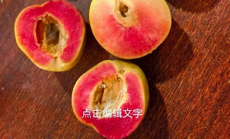雪花李子，西瓜李子，滨李子雪花李子毛毛钱，西瓜李子1.8