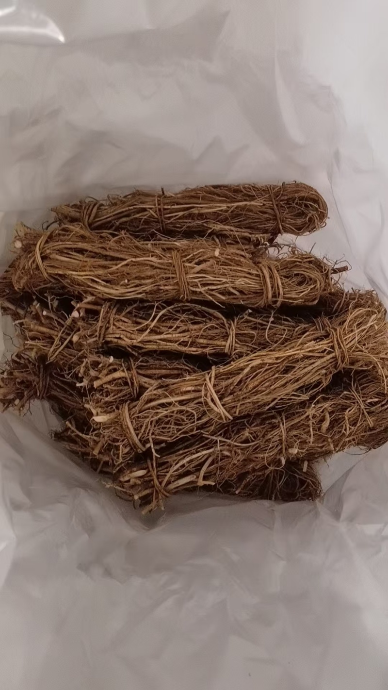 干货五指毛桃**抢购