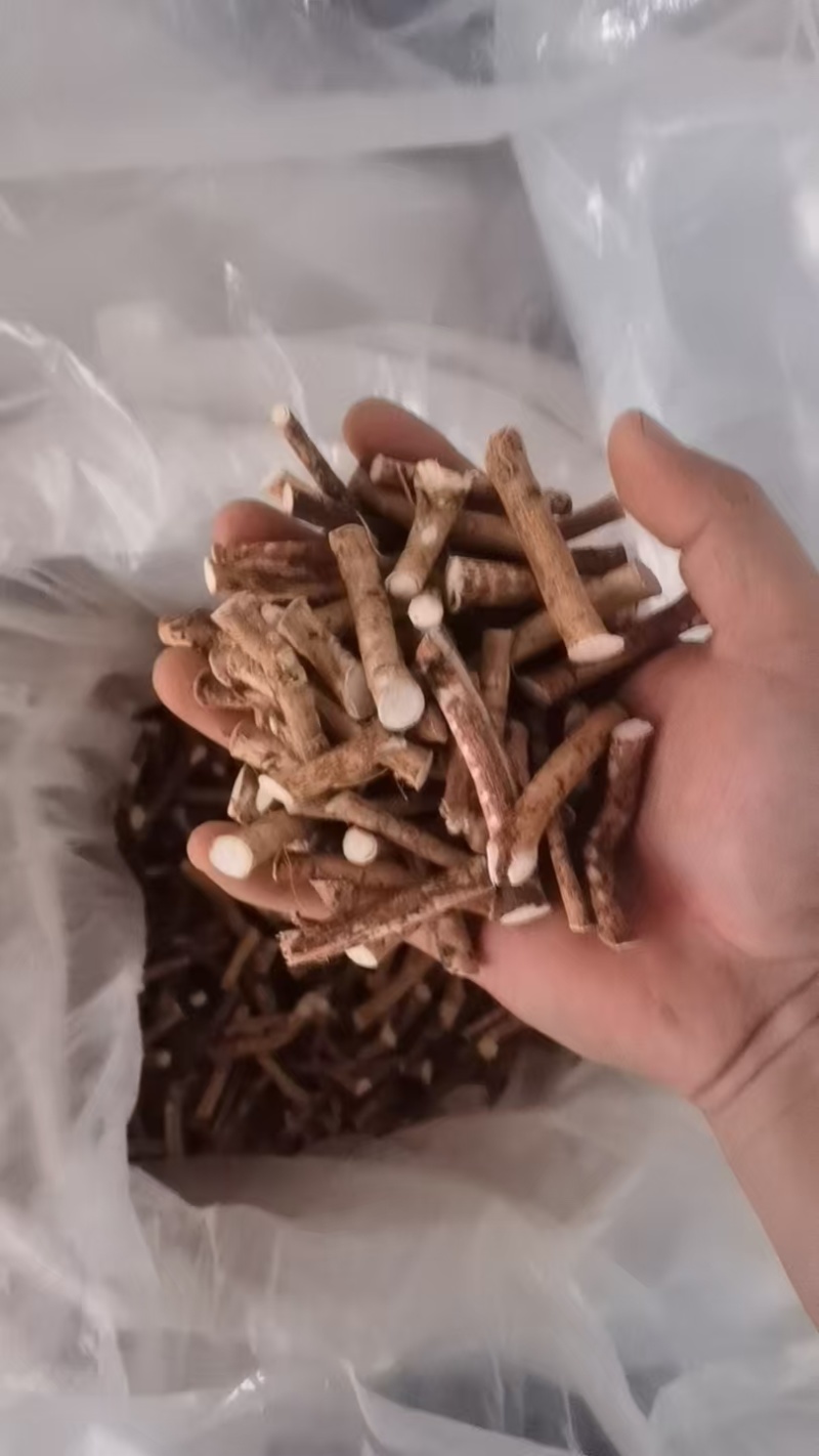 干货五指毛桃**抢购