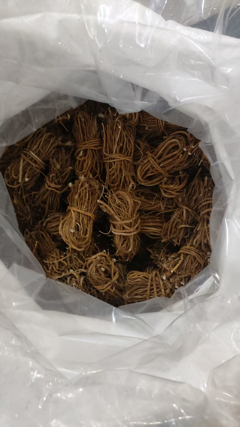 干货五指毛桃**抢购