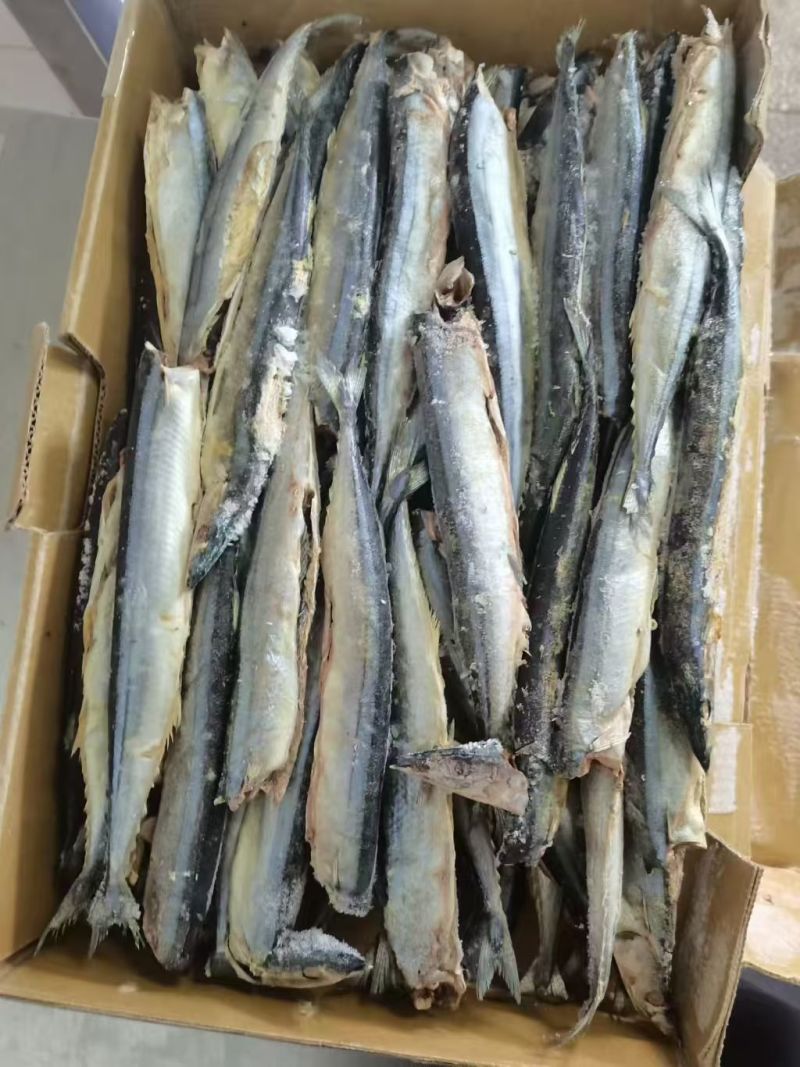 次秋刀鱼饲料出6吨