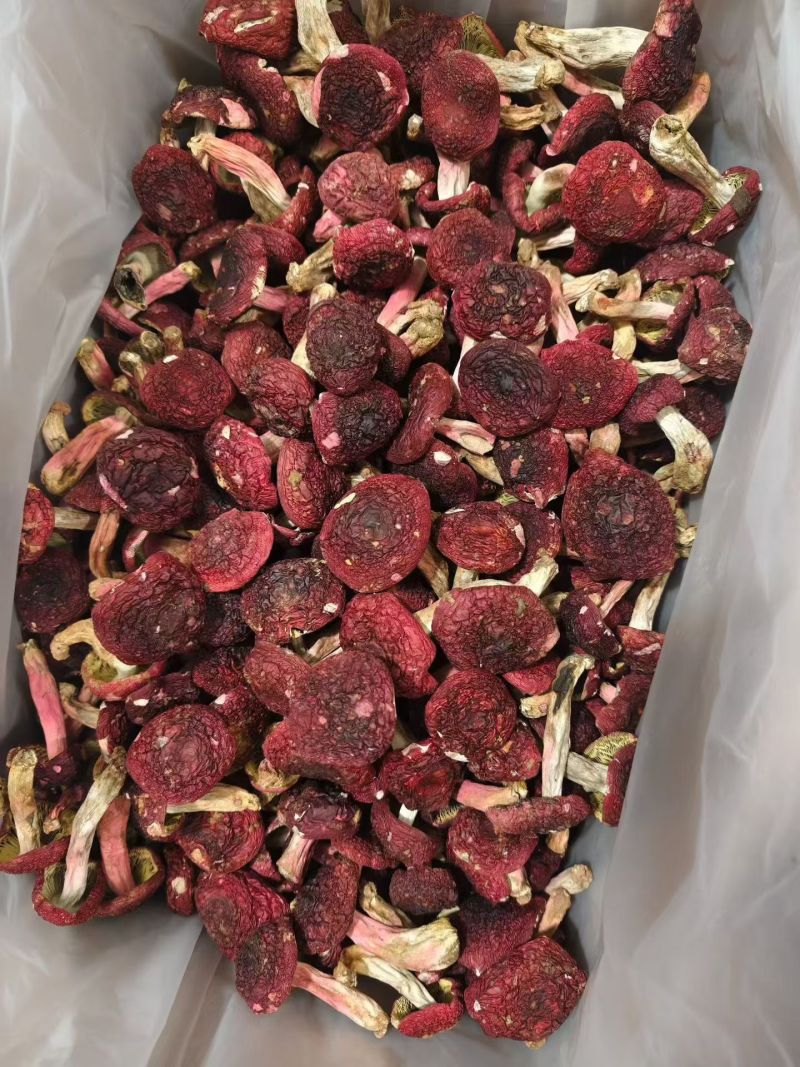 野生红菇，250克500克