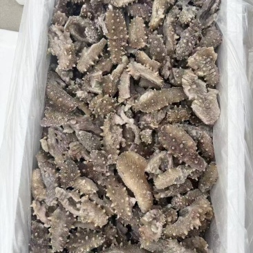 即食海参
