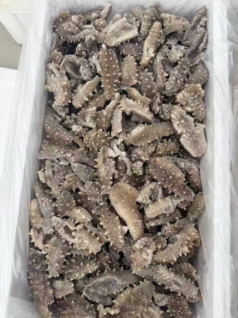 即食海参