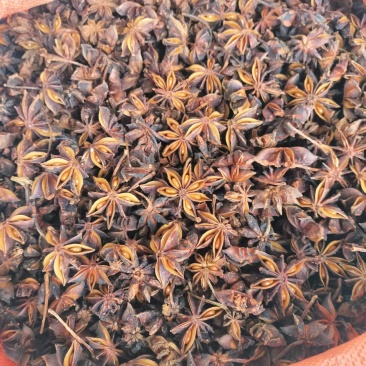 纯野生精品大红八角