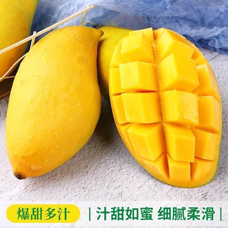 产地直发正宗鹰嘴芒应季新鲜水果中果大果新鲜芒果甜心黄金芒果