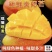 广西应季芒果