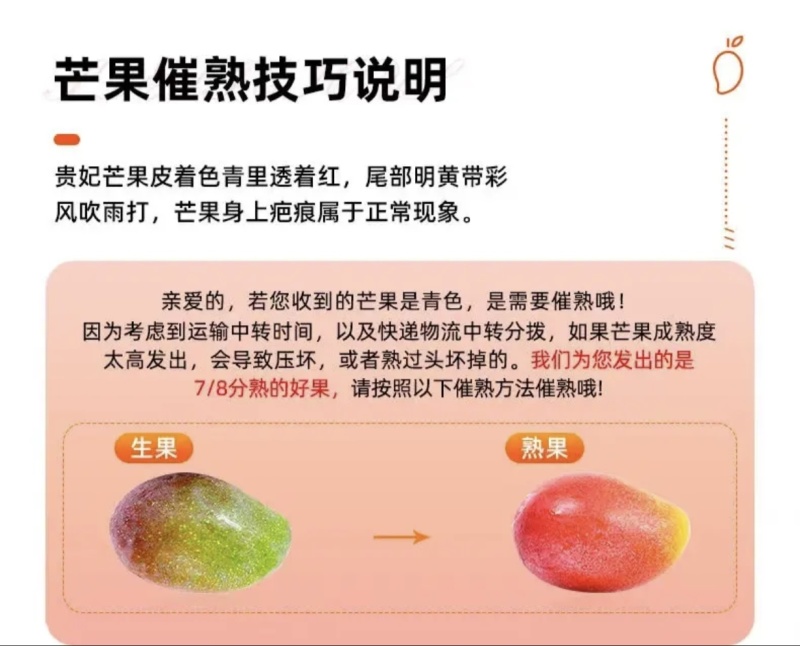 广西应季芒果