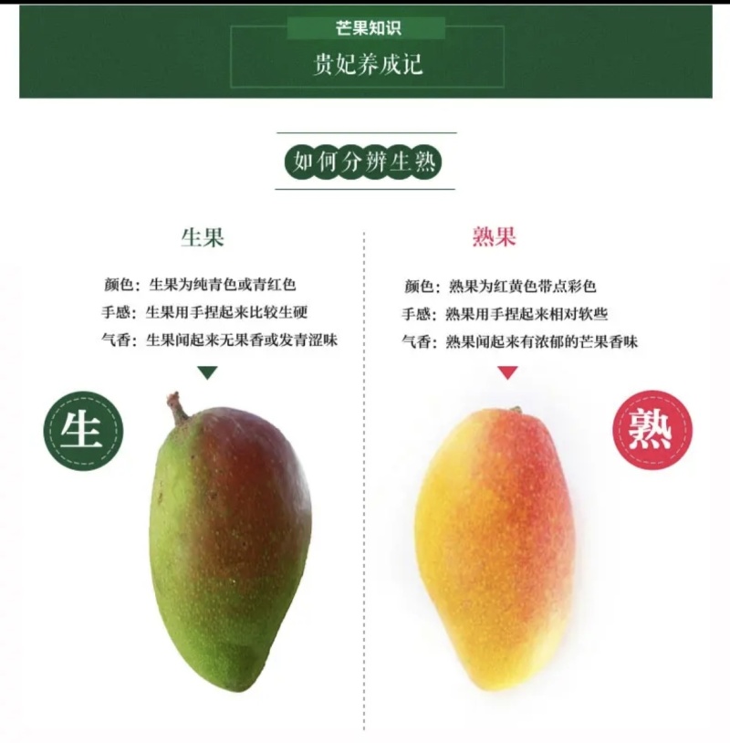 广西应季芒果
