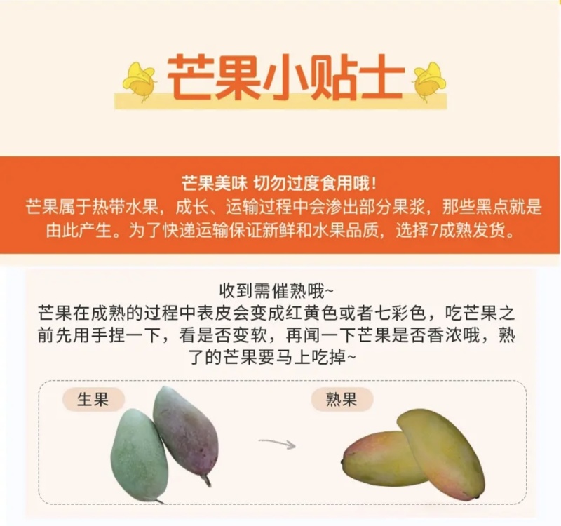 广西应季芒果