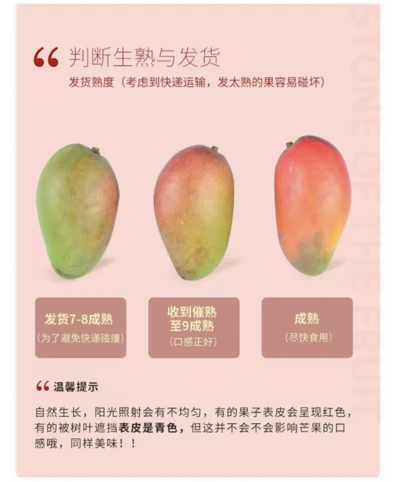 广西应季芒果