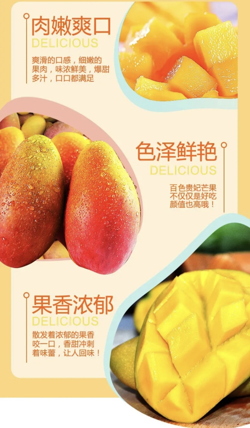 广西应季芒果
