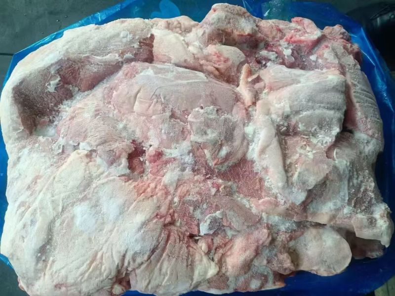 金锣原料二四号肉，9200元/吨，临沂自提，2025.5月份
