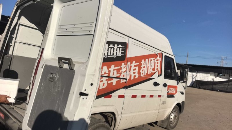 草莓西红柿牧心番大量上市