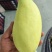 广西金煌芒果