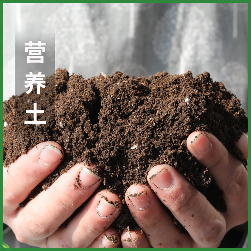 通用有机营养土