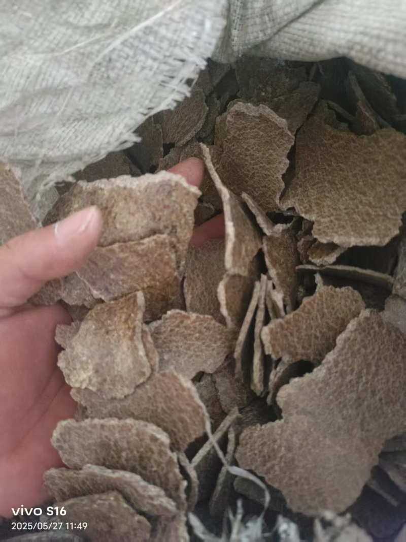 上地专用棉籽饼