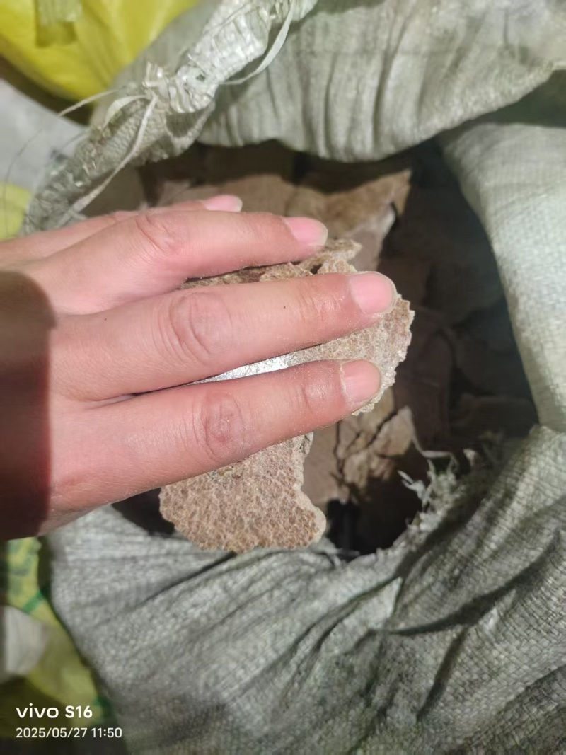上地专用棉籽饼