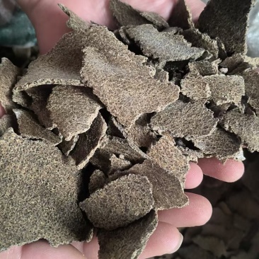 上地专用棉籽饼