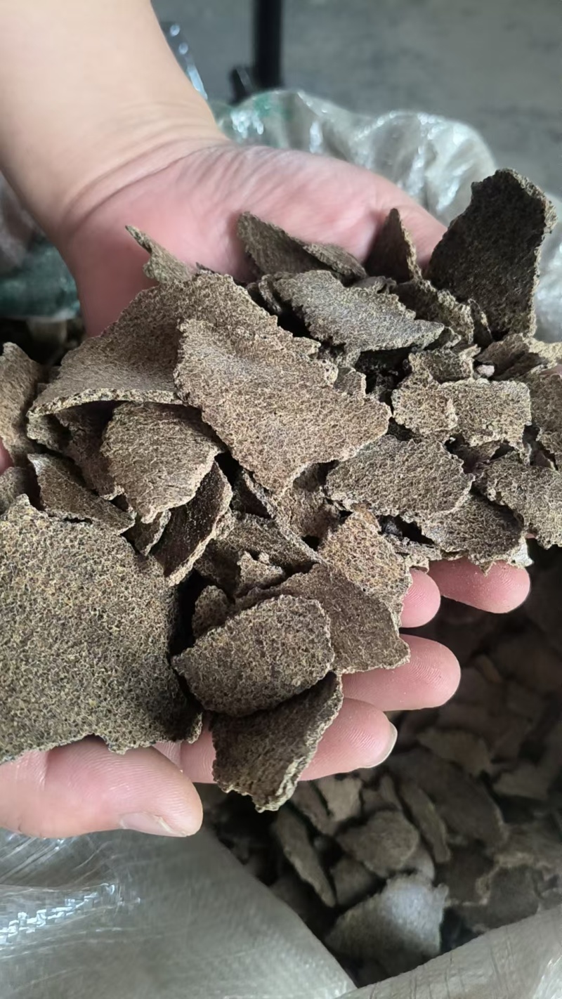 上地专用棉籽饼