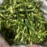 产地工厂直发，精选干辣椒条