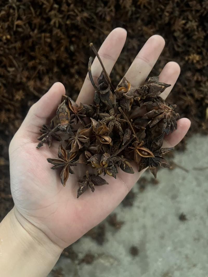 纯正广西无硫大红八角