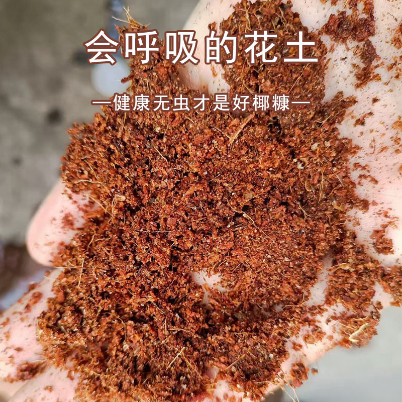椰糠