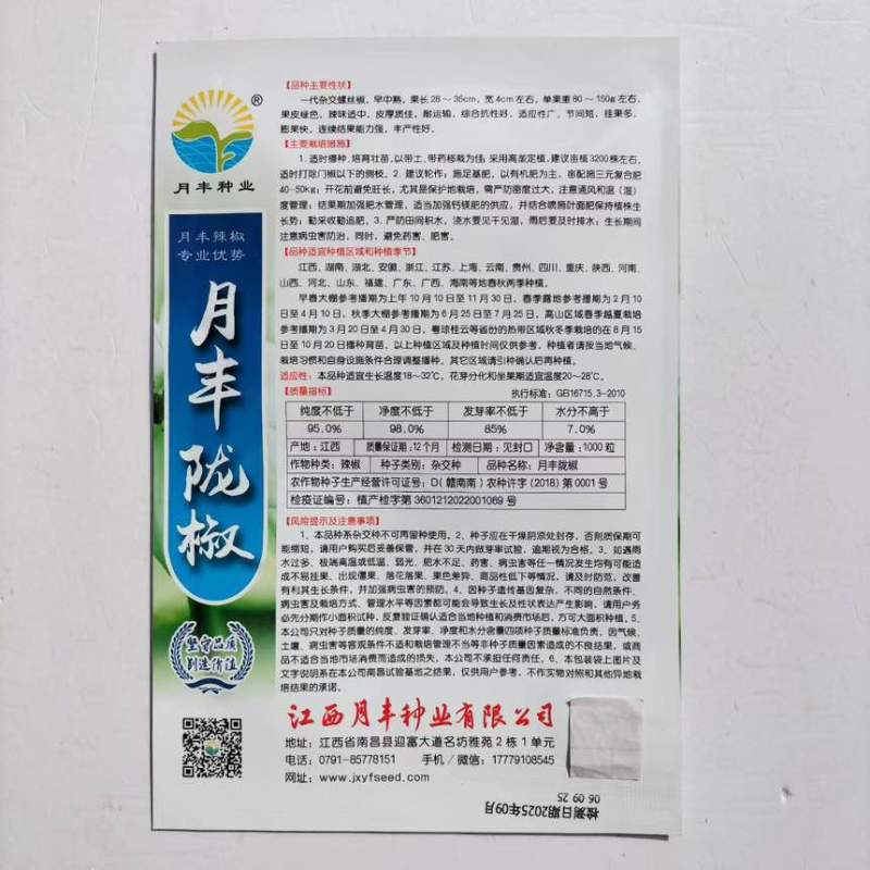 江西月丰陇椒种子早中熟一大杂交中辣螺丝椒果皮绿辣椒种籽春秋播