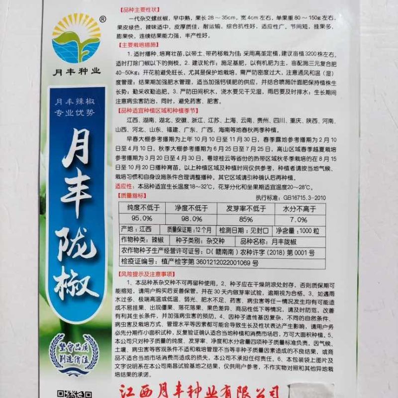 江西月丰陇椒种子早中熟一大杂交中辣螺丝椒果皮绿辣椒种籽春秋播