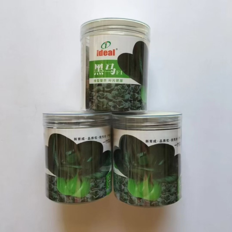 理想黑马青菜种子耐寒黑叶矮箕苏州青直立束腰口感软糯