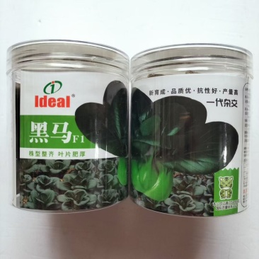 理想黑马青菜种子耐寒黑叶矮箕苏州青直立束腰口感软糯