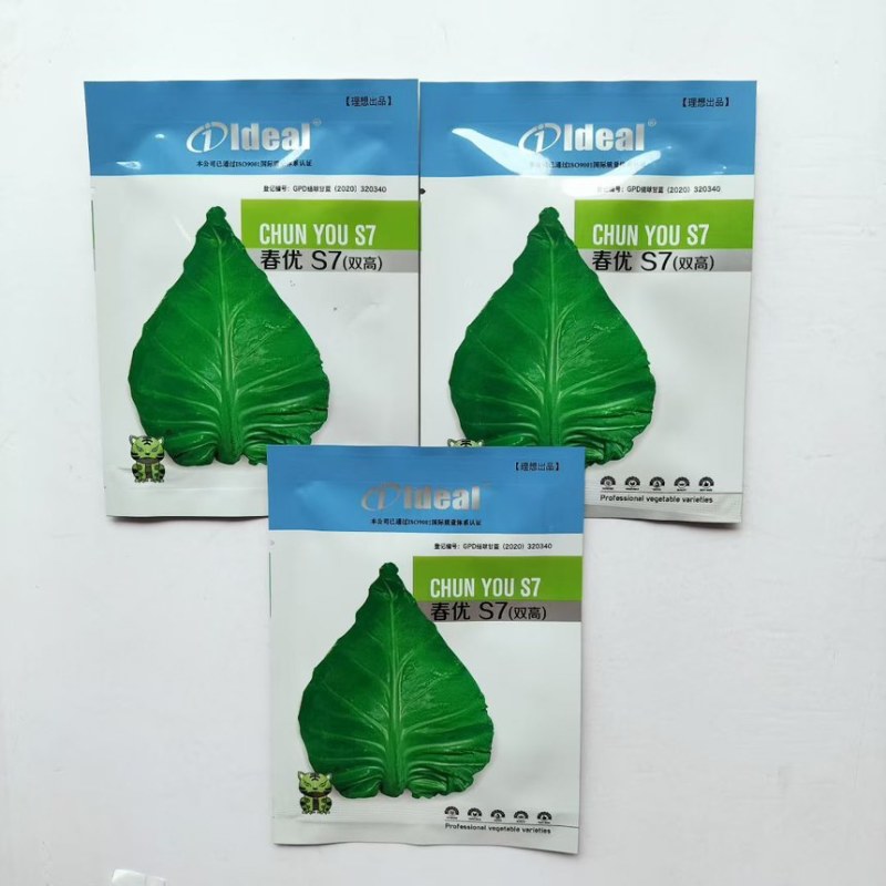 春优S7双高甘蓝种子牛心菜种籽早中熟抗病高产耐寒性强耐裂耐抽