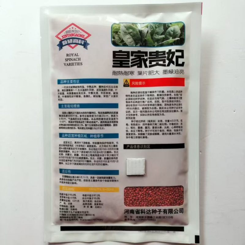 皇家贵妃菠菜种子叶肉厚抗性强半圆叶耐低温耐抽薹四2400