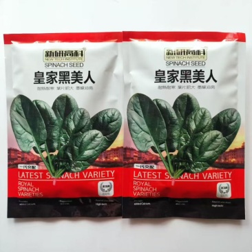菠菜种子皇家黑美人圆叶菠菜种孑叶片肥大春秋冬四季蔬菜耐寒菜籽