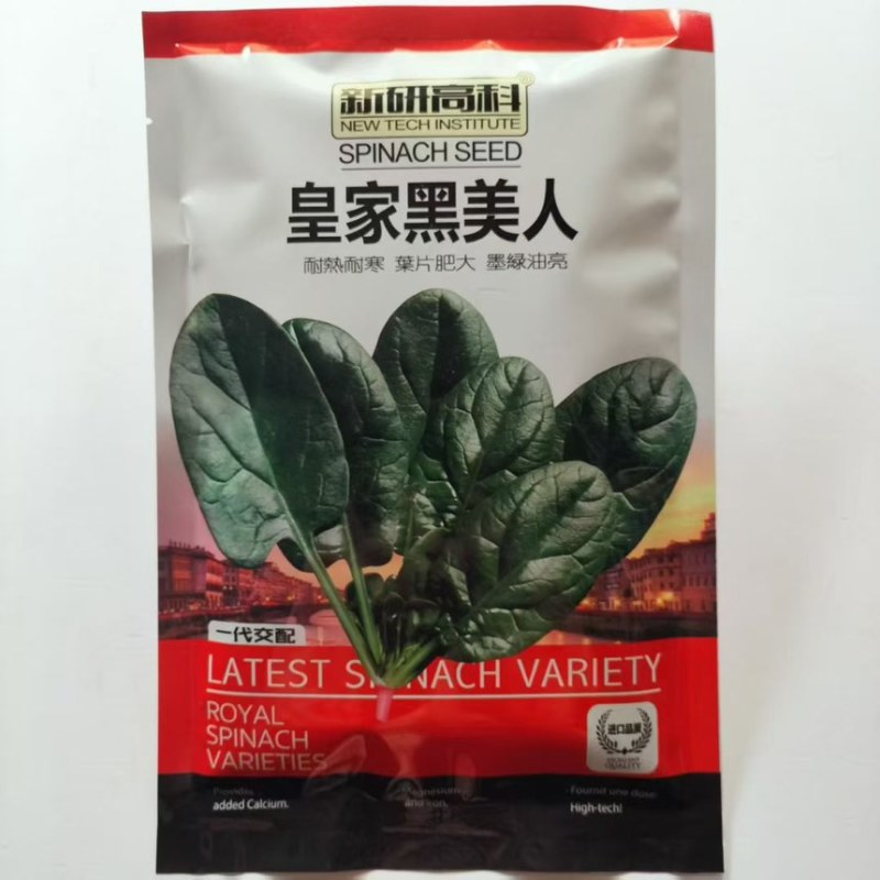菠菜种子皇家黑美人圆叶菠菜种孑叶片肥大春秋冬四季蔬菜耐寒菜籽