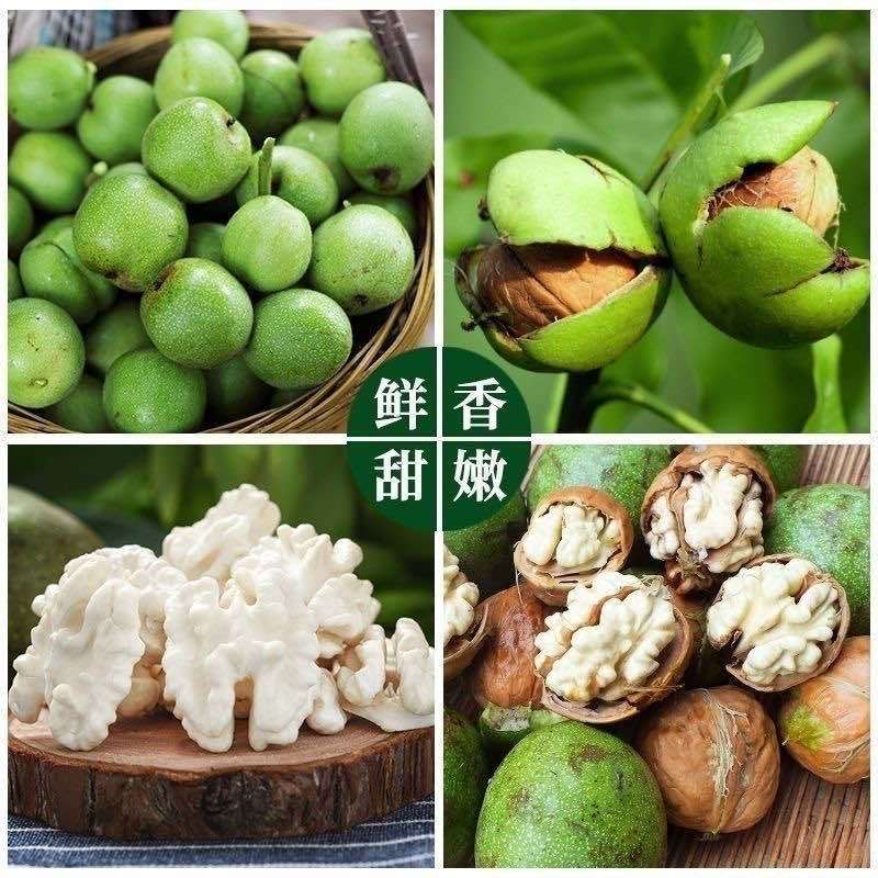 一键代发青皮核桃核桃现货各种各样的规模现货