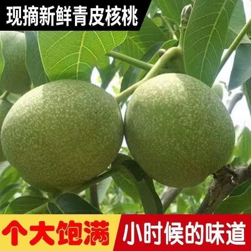 一键代发青皮核桃核桃现货各种各样的规模现货