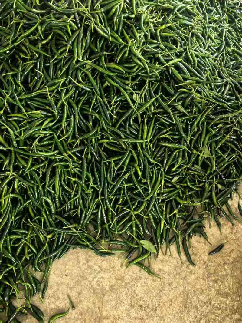青小米收购中，需要的老板来电📲谈