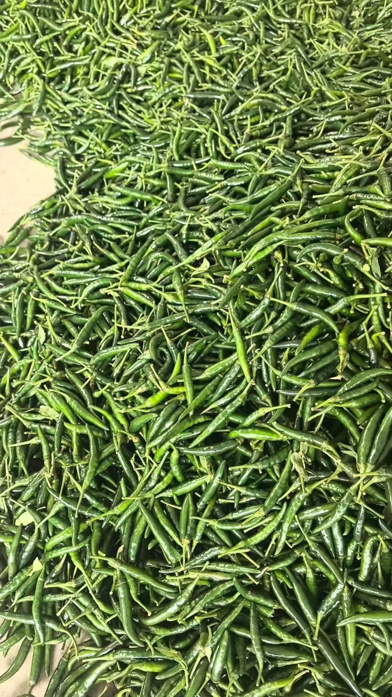 青小米收购中，需要的老板来电📲谈
