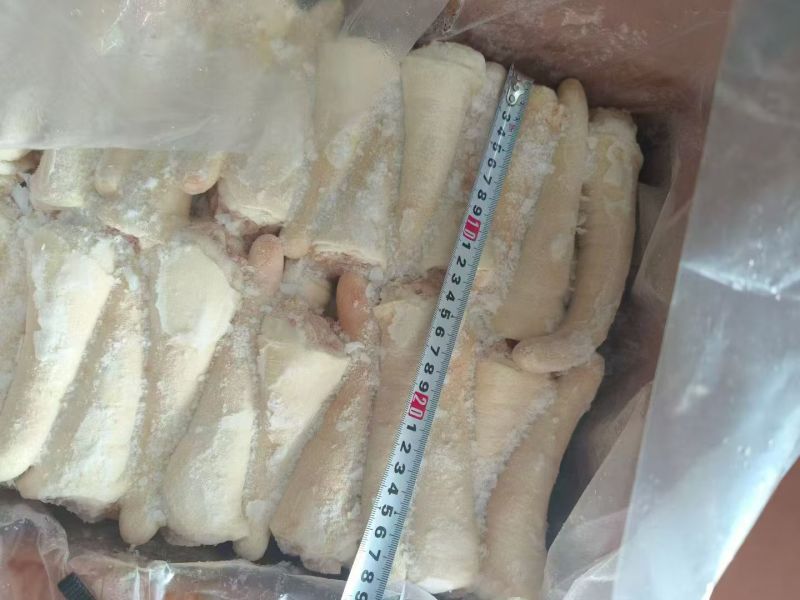 肥猪中尾新货4吨，临沂新货新开，