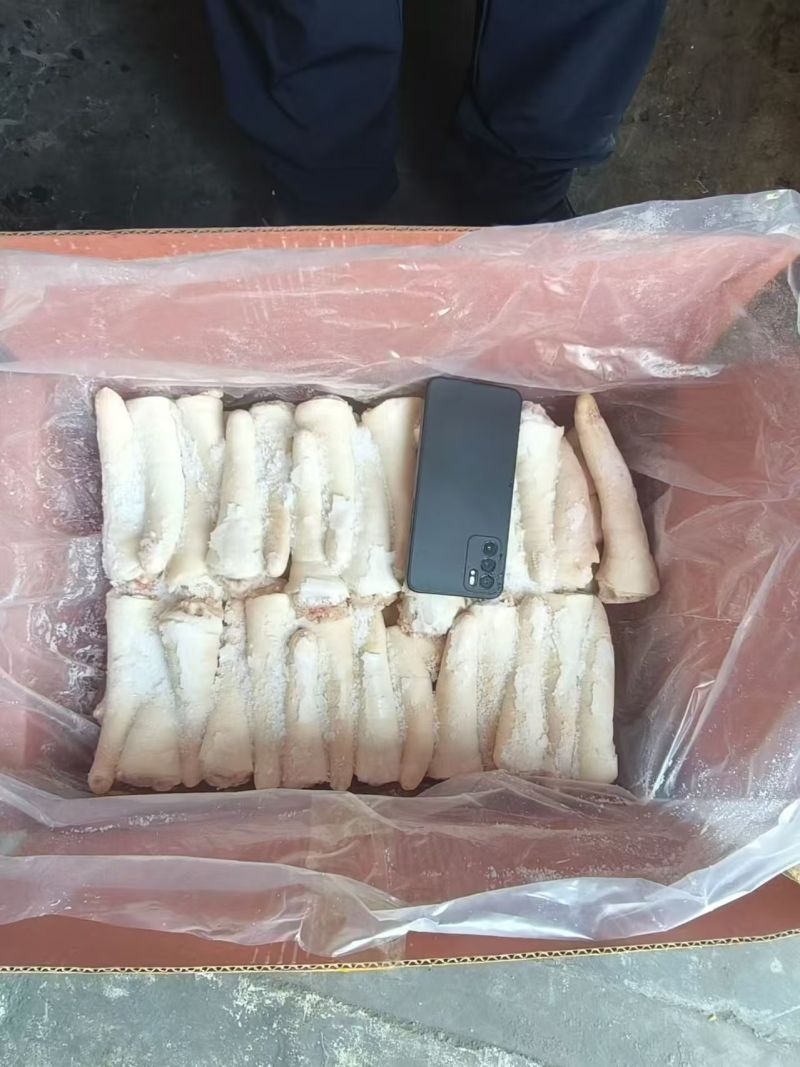 肥猪中尾新货4吨，临沂新货新开，