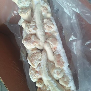 肥猪中尾新货4吨，临沂新货新开，